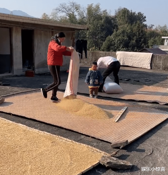 带货|小春花又翻车，现在晒谷纯粹是为拍摄，8个月孕肚想弯腰就弯