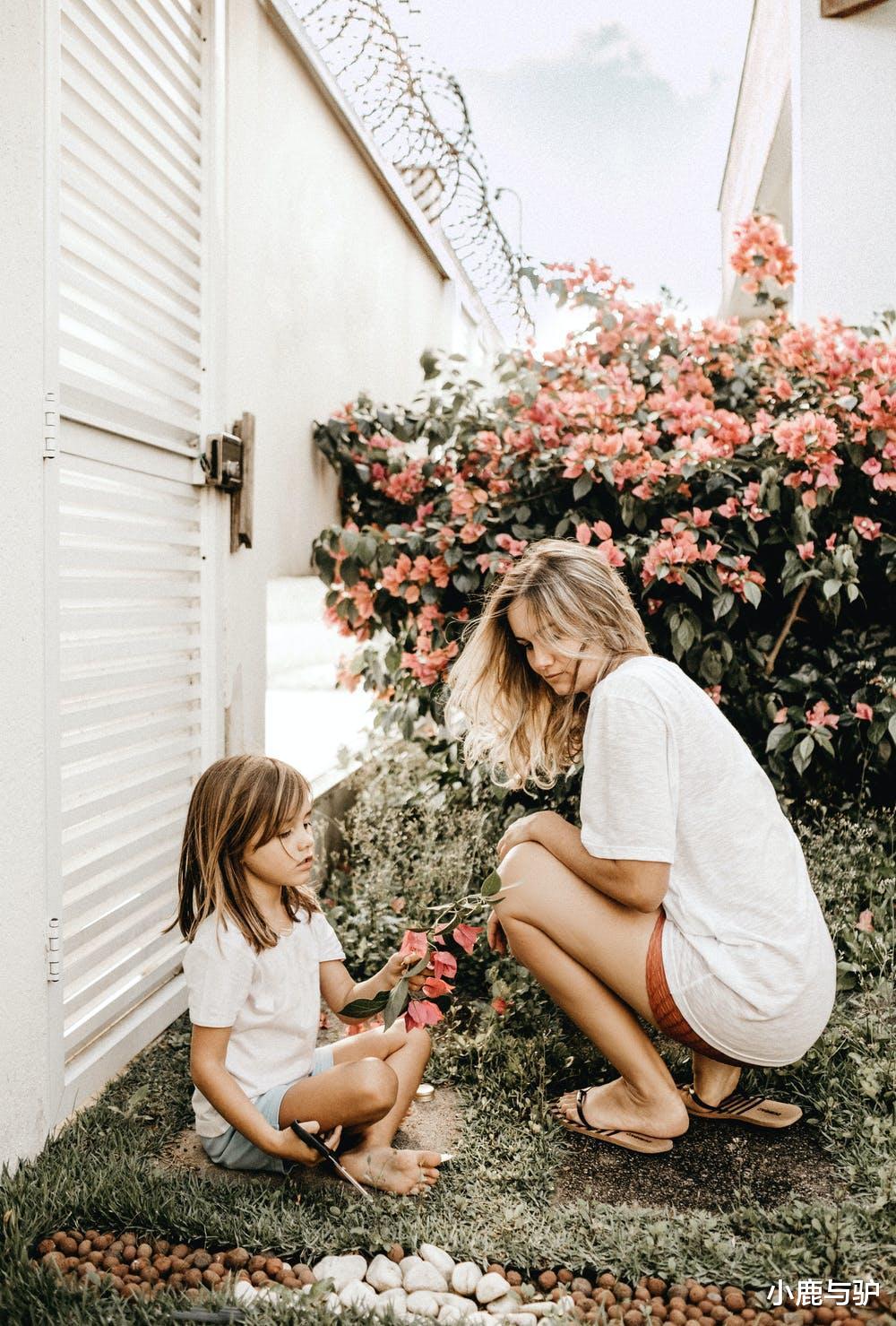 小鹿与驴|婚礼筹备期,男友一家的态度敷衍,女孩警醒:凭什么我要倒贴?