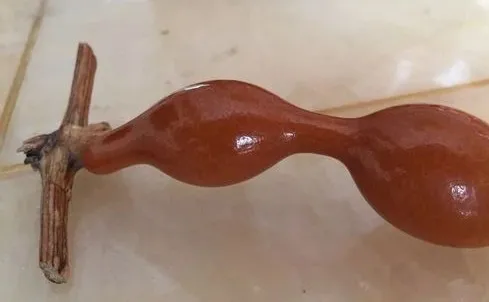 葫芦|这玩意儿，不盘光看，就很勾人！