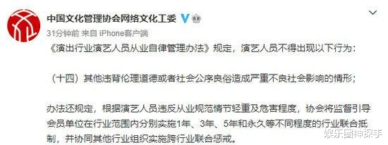 肖战|男星接连塌房，已成恐惧追星？其实你只是粉错人了