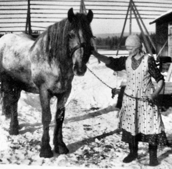 李子柒|李子柒断更5个月后，隐居11年的北欧仙女火了！引500万粉丝围观