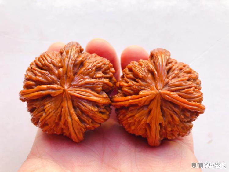 文玩核桃|聊一聊文玩核桃里面的异形核桃，挑选不好可能就会是歪瓜裂枣