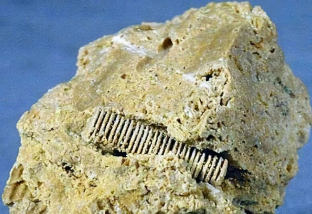 太空 科学家在化石中发现“芯片”，史前文明真的存在？谁终结了他们？