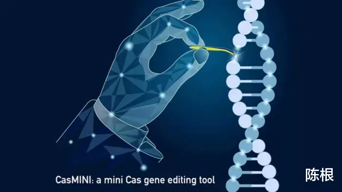冠状病毒 陈根：斯坦福大学，创建CasMINI基因编辑系统