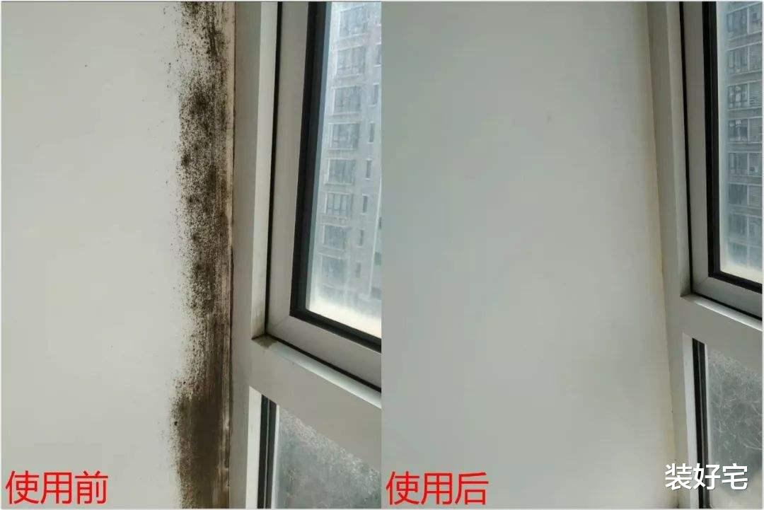 装好宅|洗手间经常有异味？那你是清洁方法用错了，这样清洁简单又实用