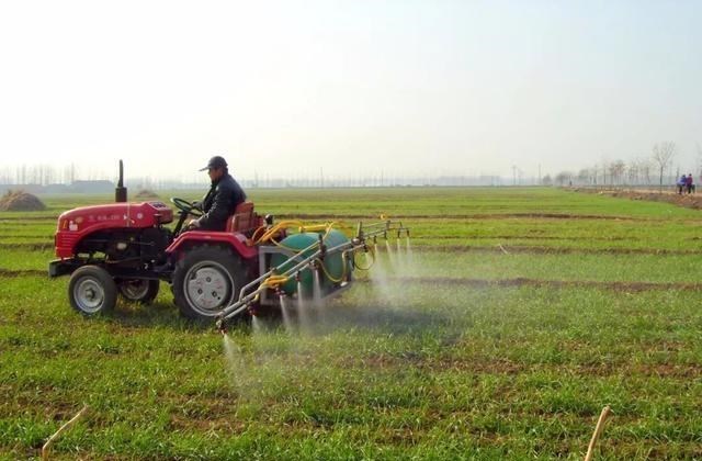 梵恩诗伊宁哥|一句“专业化”就能破解种地难题？政策下，农民不种地或赚更多