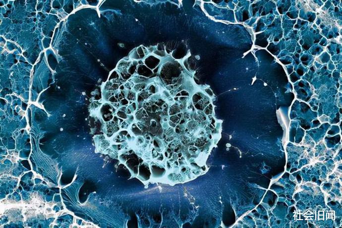 科学家 细胞放大5000倍之后,仿佛看到了宇宙,或许这才是宇宙最真实的模样