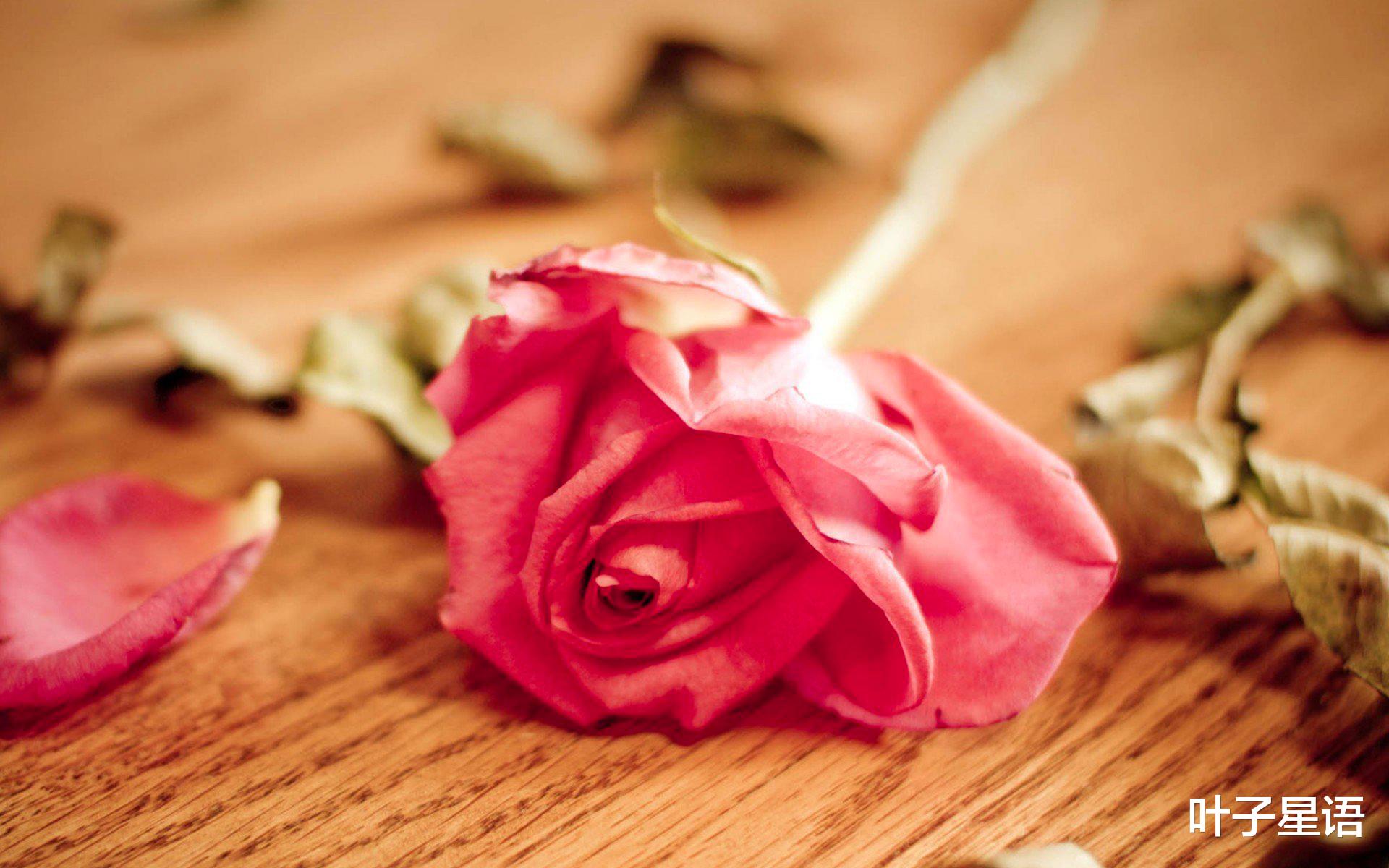 射手座|5天之后，这些星座的职场影响力增加，他们宽以待人，受人爱戴