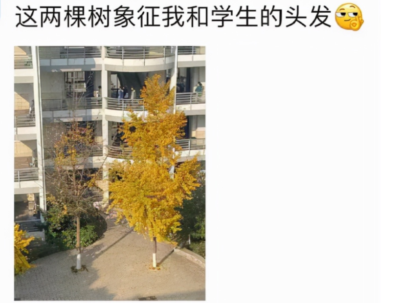 |老师的朋友圈被曝光，与平时判若两人，原来教师也有两副面孔