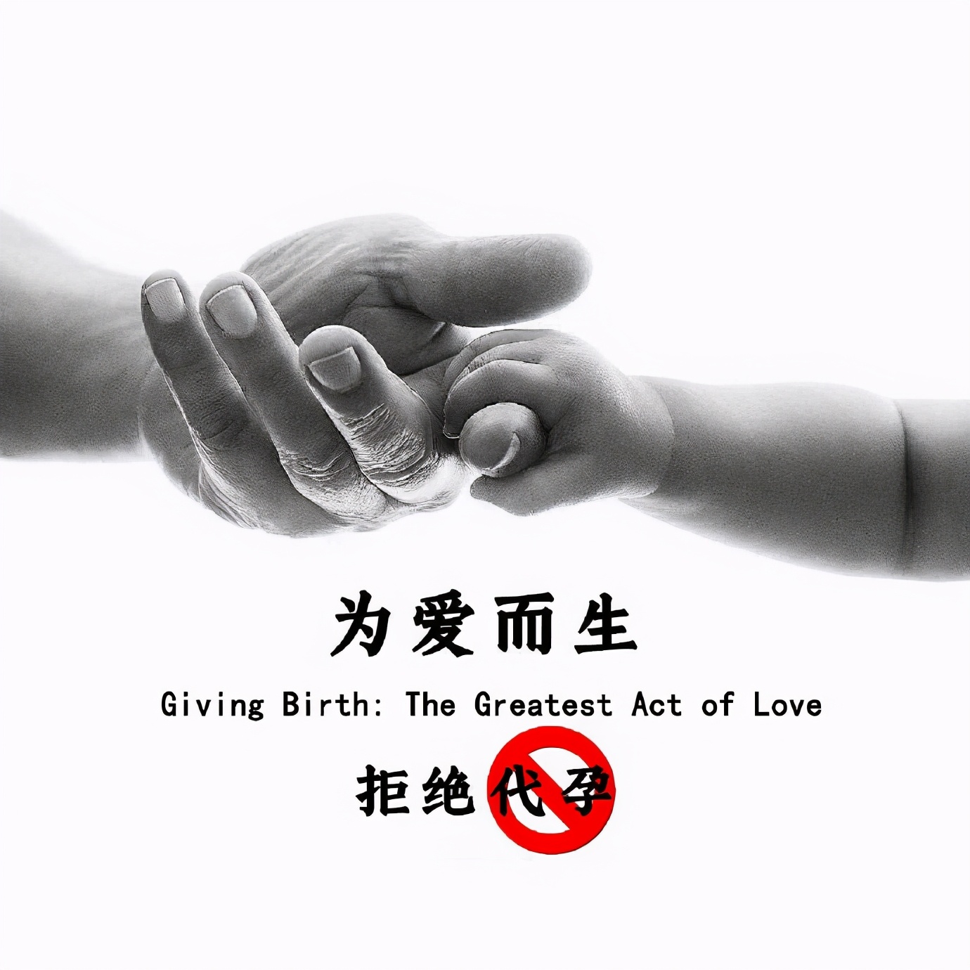 张彬彬|张恒深夜发长文，赢得孩子抚养独立决定权，并向孩子、家人等道歉