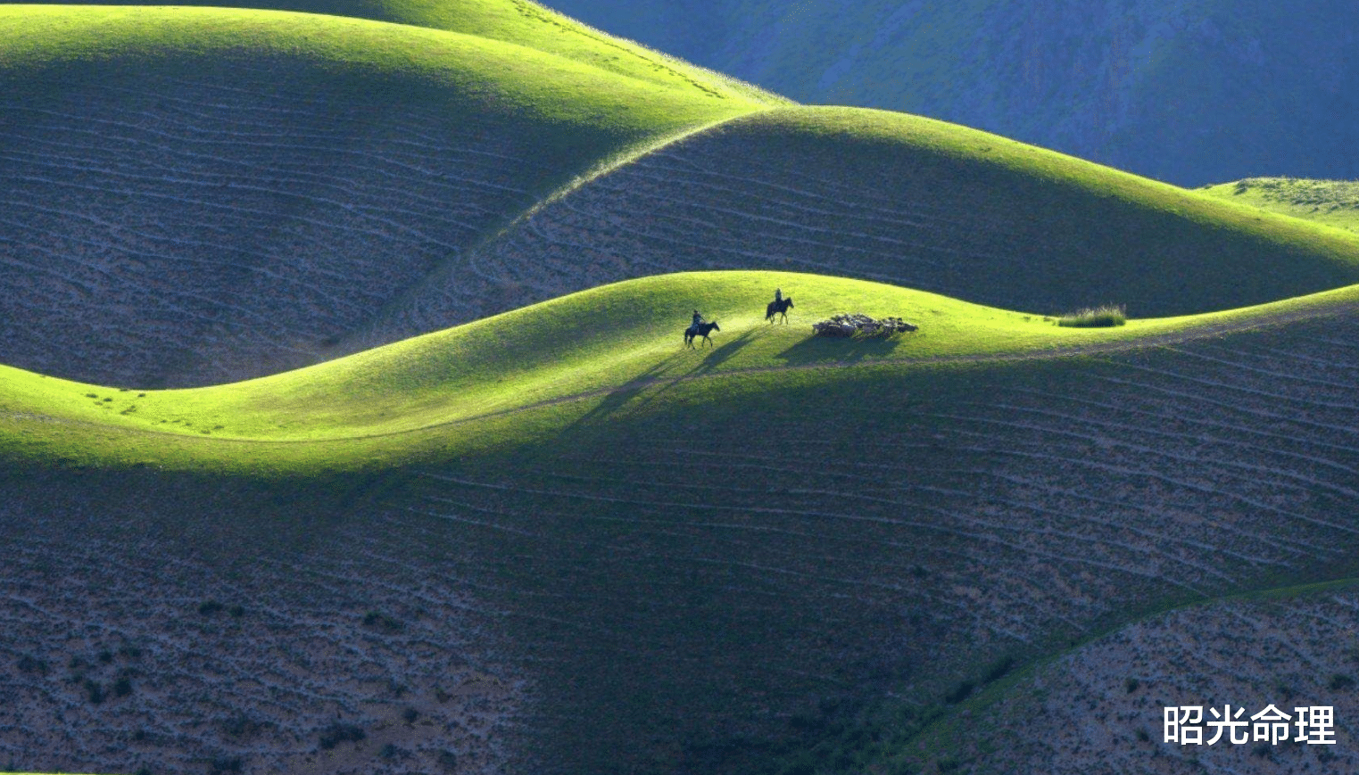 昭光命理|什么样的命局容易春风得意，什么样的命局容易意志消沉
