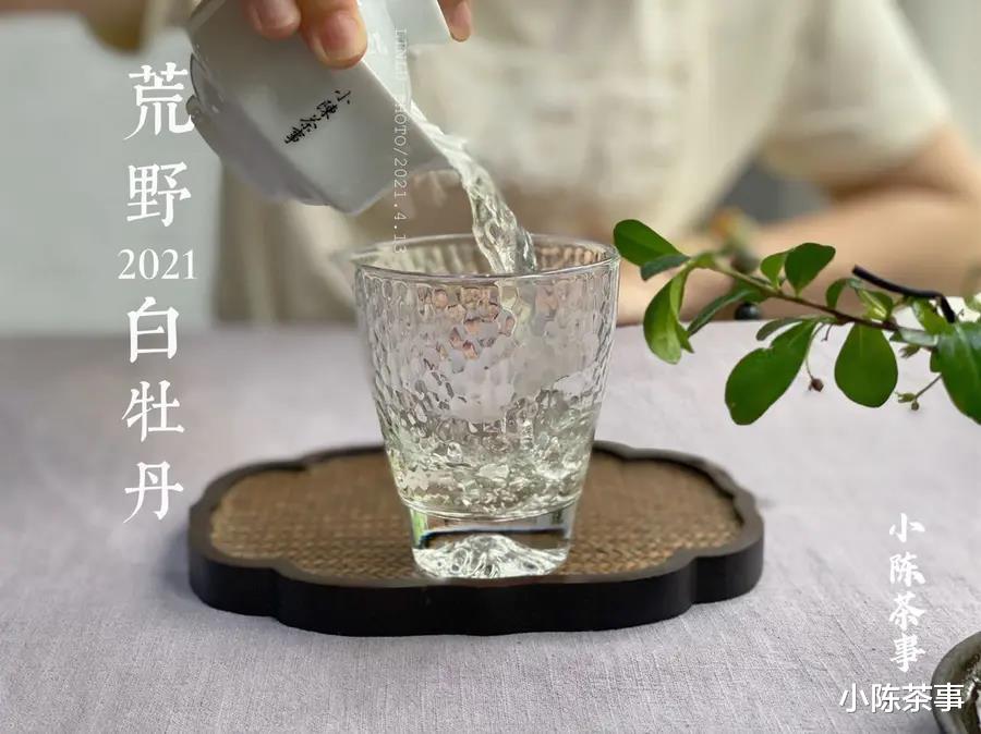 原创|听说盖碗泡茶都会烫手,烫习惯了就好?教你2种方法破解难题
