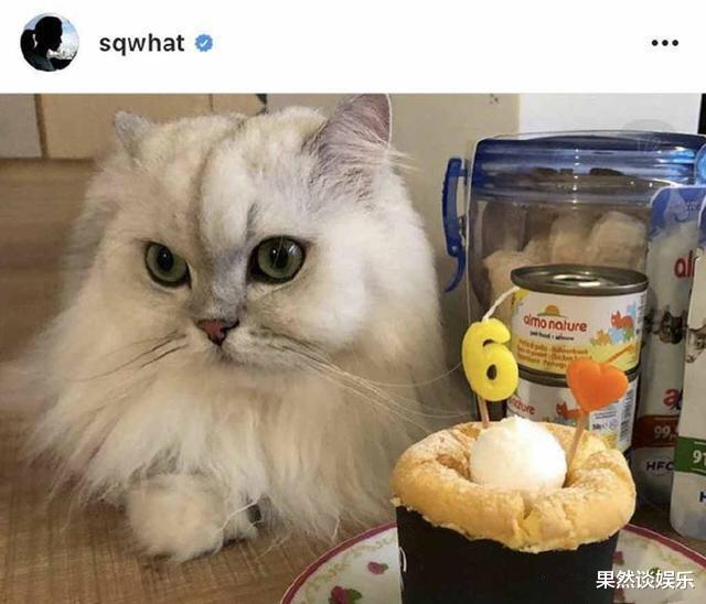 舒淇|舒淇和冯德伦他俩这相处模式，任谁看了不说一句“羡慕”呀！