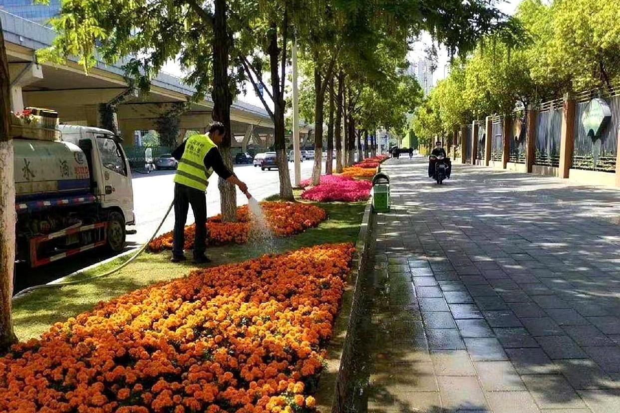 胡了說扒道 百花齊放迎五月，20余萬盆時令花卉，面積達(dá)3000多平方米