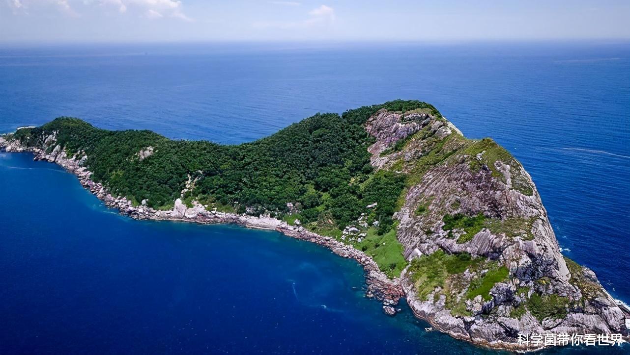 蜈蚣 真要变成蜈蚣岛？菲利普岛蜈蚣长到30厘米，一年吃掉3700只海鸟！