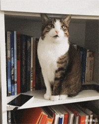 鑫宝聊育儿|“妹子要保护好自己隐私啊,尤其是穿着裙子,大意了啊!”哈哈哈