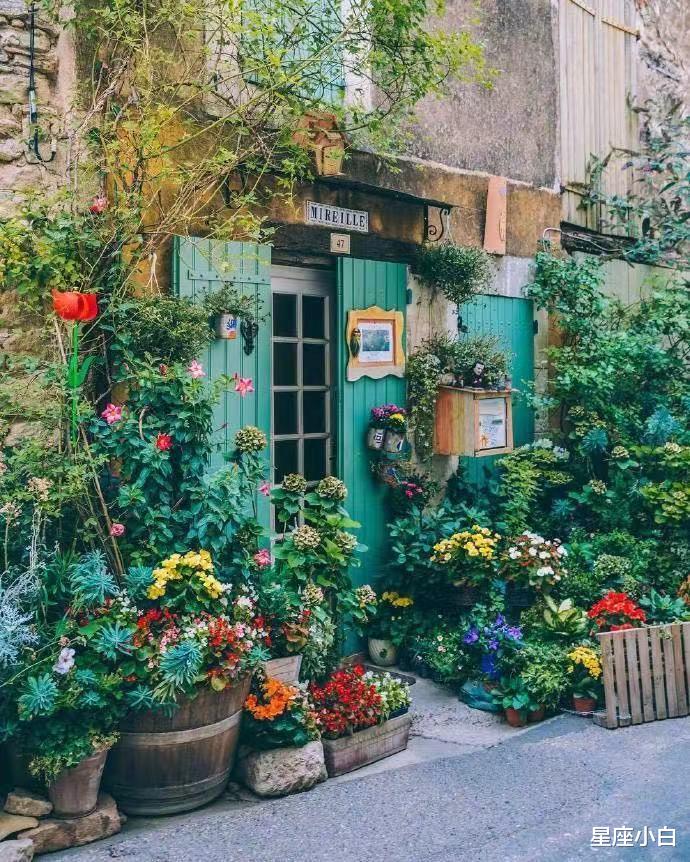 星座小白|办事干净利落，不拖泥带水的星座