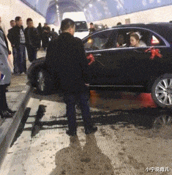 小宁说育儿|“这些真实的电影镜头，有多少人误认为是特效？”