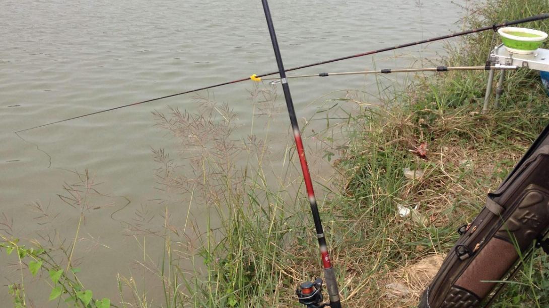 |春季钓鱼要钓滩,什么才是“黄金滩”?此钓位找到后闭眼都能上鱼