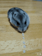 饵料|小姐姐真是会玩啊，看样子作业还是太少哈哈