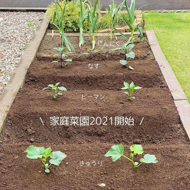 |日本太太太有远见了，坚持扔掉家中“鸡肋”用品，小家越住越舒适