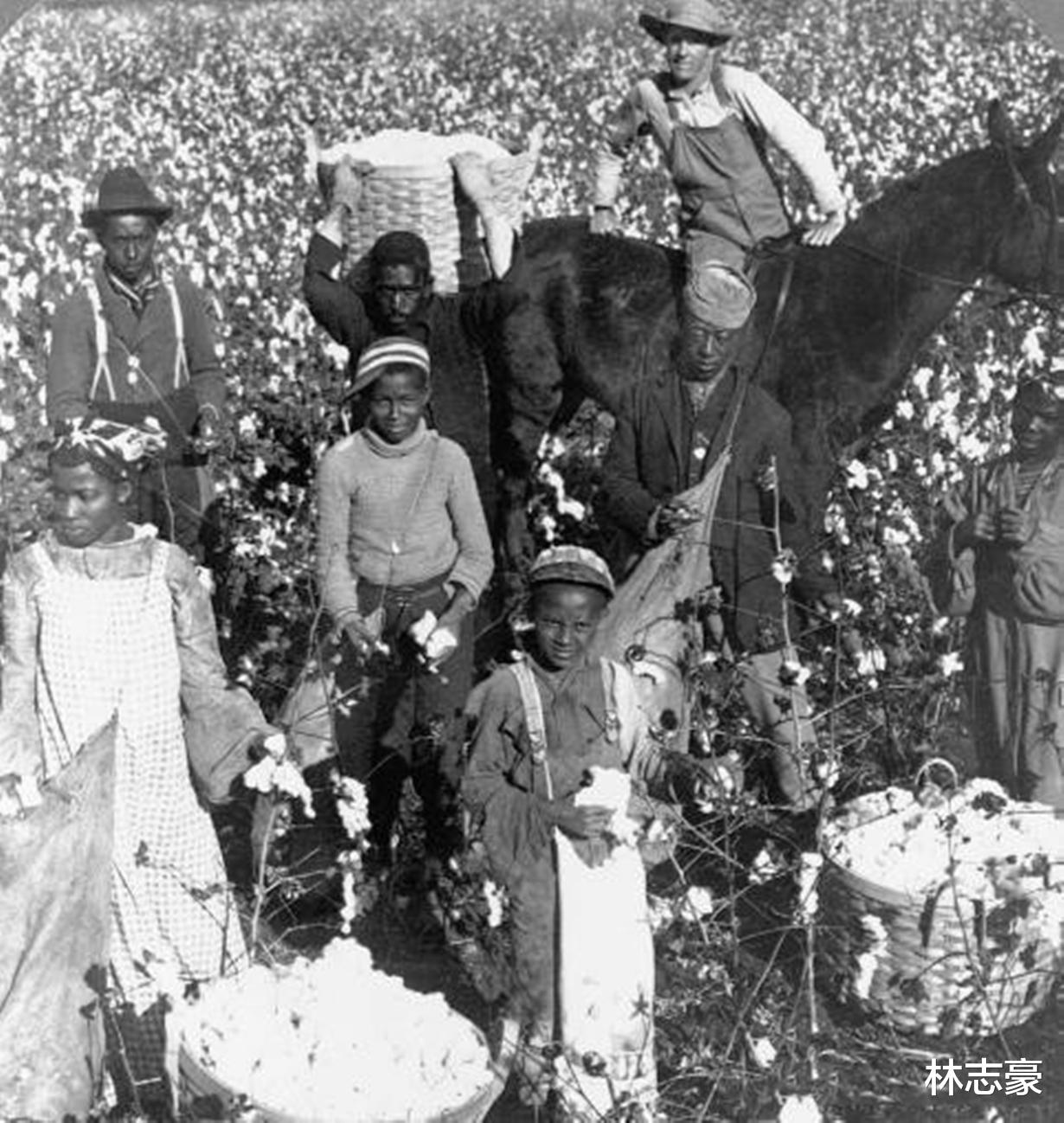 手雷|美军造的充气坦克，女人身上绑满手雷，值勤时的以色列女兵，几张老照片