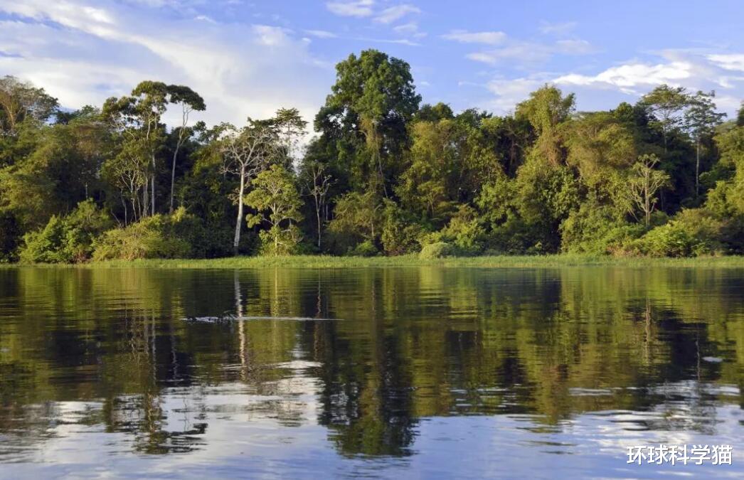 太空 地球有哪些禁区，亚马逊雨林被称为人类禁区，为什么不敢去？