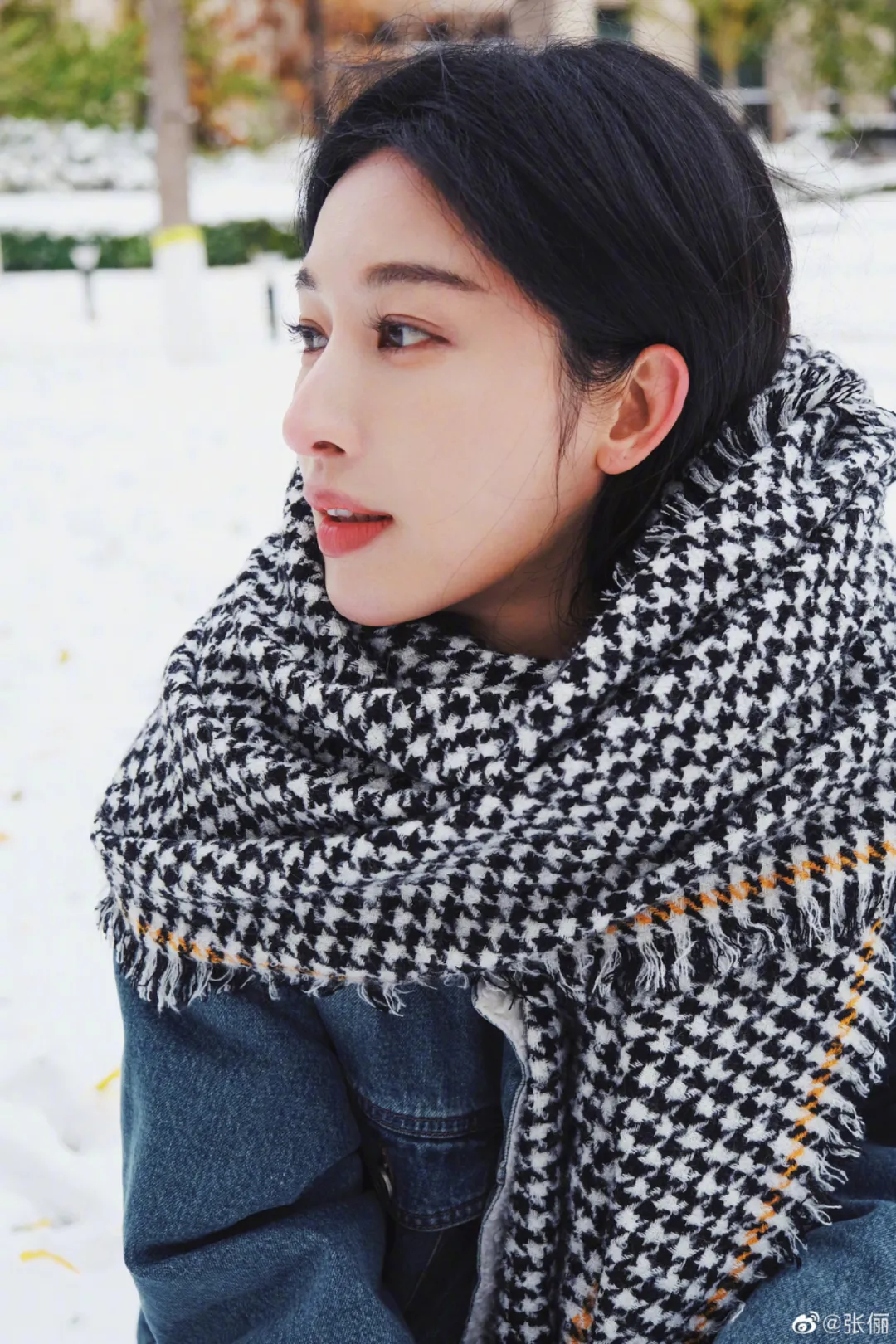 张俪|张俪：我都没有看剧本，就直接来了