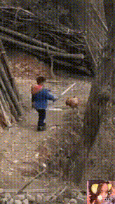 刘亦菲|“马总化腾的女儿又爆出近照，朋友们你们觉得漂亮吗？”