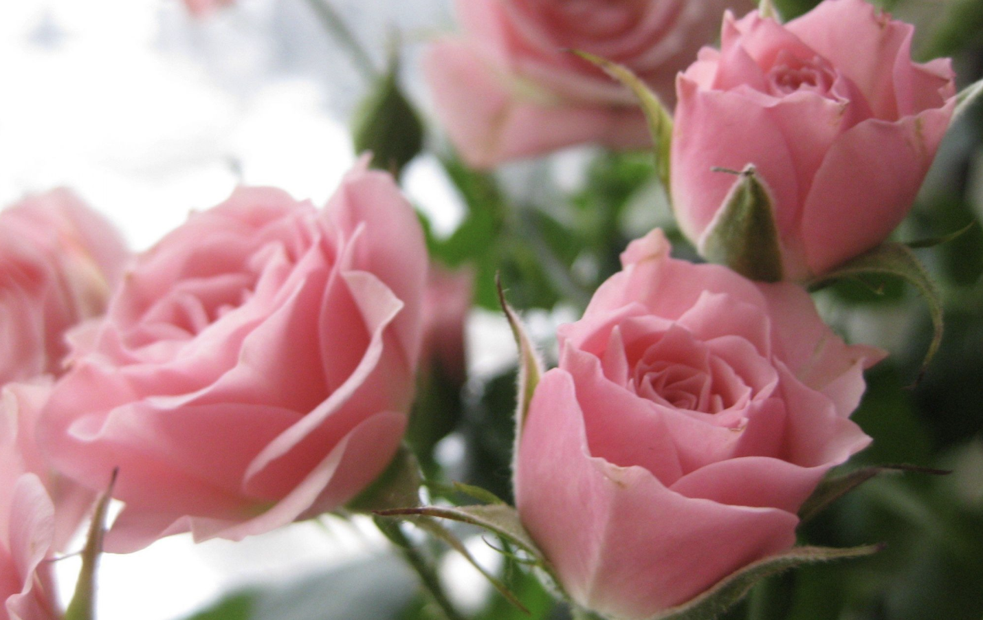 蜂蜜|9月，事业如鱼得水，爱情甜如蜂蜜，3生肖穿金戴银好福气，囍事连连