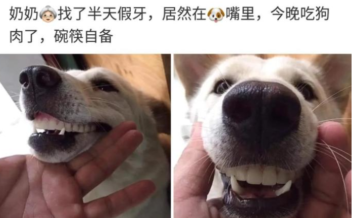 咸蛋的小姐 撞衫不可怕，可怕的是跟谁撞衫，哈哈哈哈哈哈哈哈妹子不淡定了