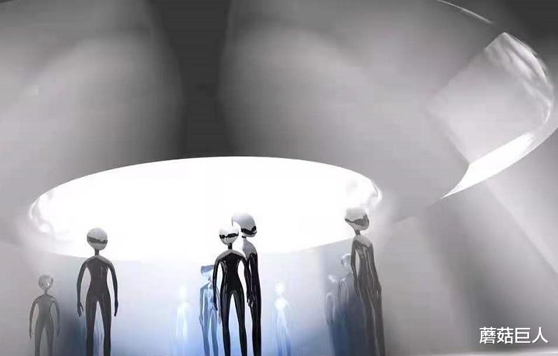 蘑菇巨人|3万年前的星空遗民,外星种族放在地球的小白鼠,你是其中之一吗?