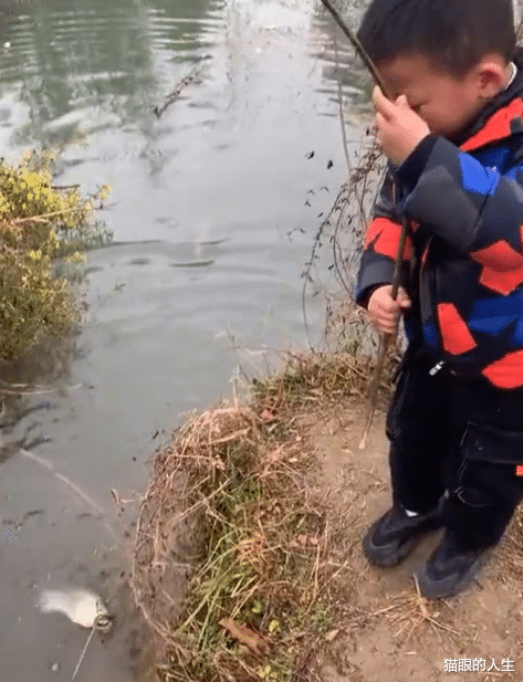 湖北|境界高！湖北一小男孩拿树枝当鱼竿，抛竿不到10秒就钓上大鱼