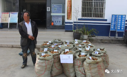 文山身边大小事 文山州多人被抓!