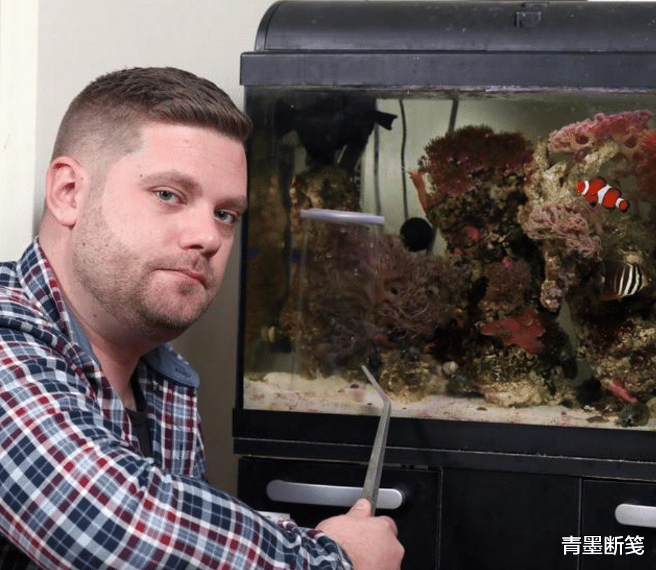 鱼缸里有世界上最毒的蜗牛怎么办?英国男子一做法,让他躲过一劫