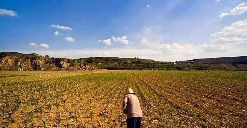 欣欣普法人 农村的分户条件，决定了你能不能合法拥有宅基地！