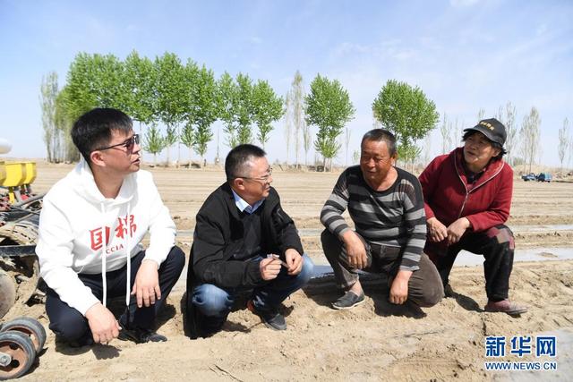 中工网 “中国标准”推动“新疆棉”高质量发展