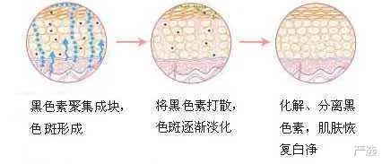 严选|为了美白“狂塞”柠檬的女人,如今“梦想成真”了吗?网友:别信
