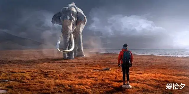 爱拾夕|中年男人最大的悲哀，不是没钱，而是没有这些