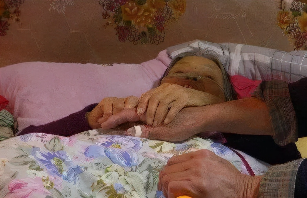 Hi家有小甜椒儿|北大博士王永强,离家20年拒见父母,不孝背后的隐情让人沉默