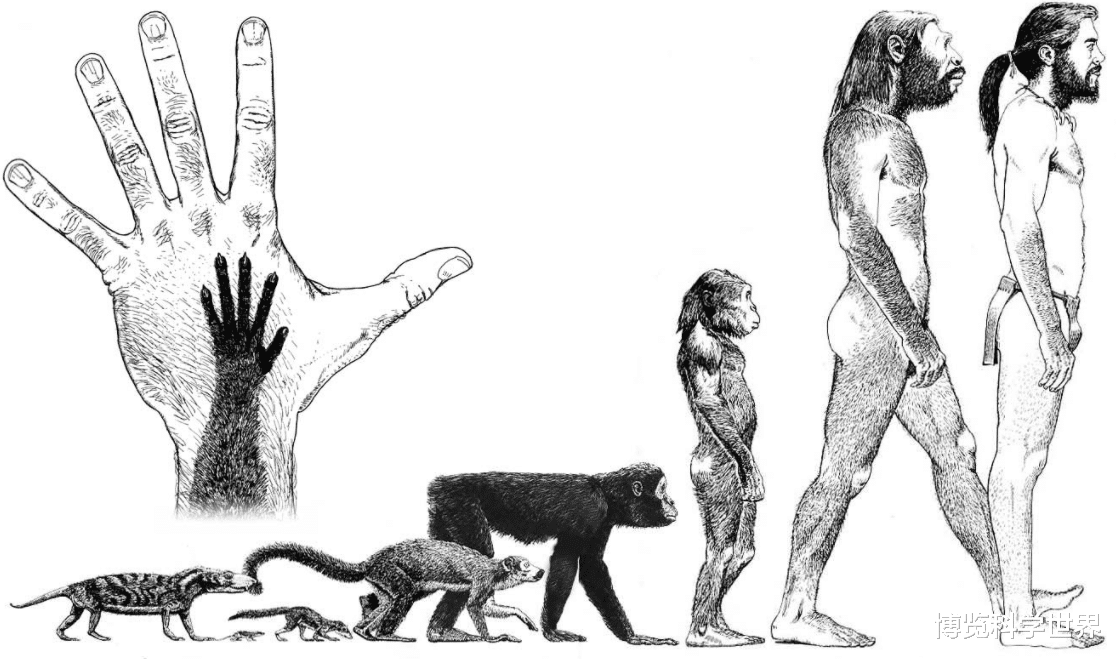 哺乳动物 为何女生洗澡水比男生热？科学家研究11000只动物后，发现跟进化有关