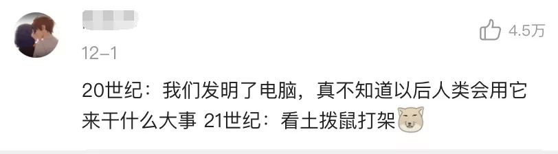 土拨鼠，一种自带互联网属性的动物