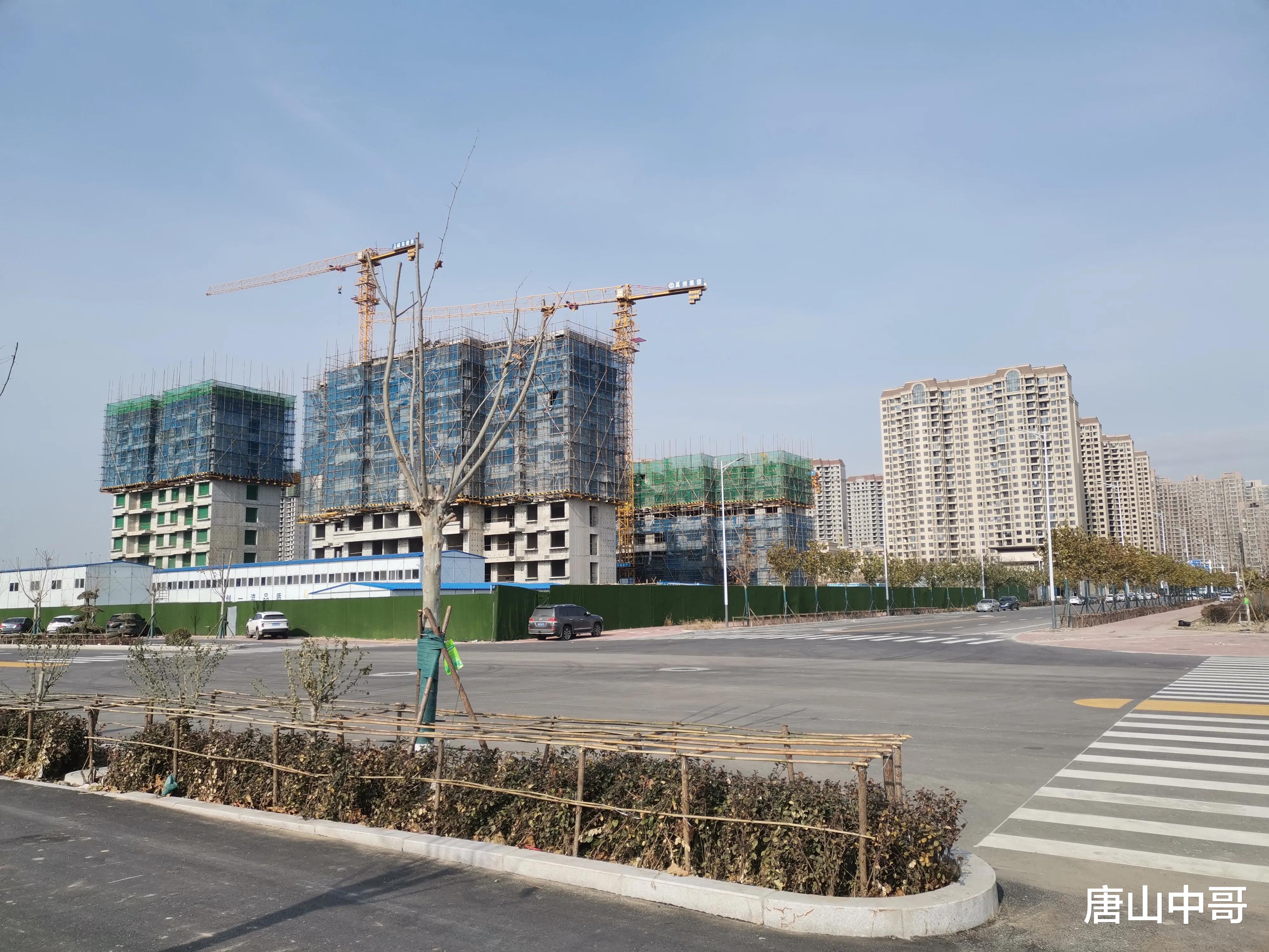 学区房|为何唐山的地产公司都没有走出唐山？可能和这两个原因有关