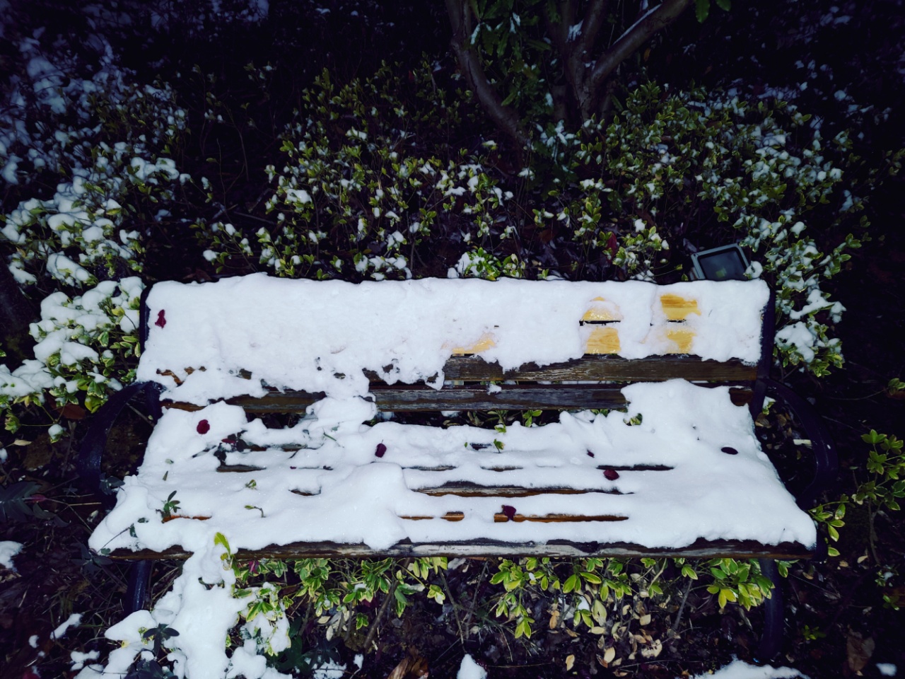 白雪|白雪与梦乡