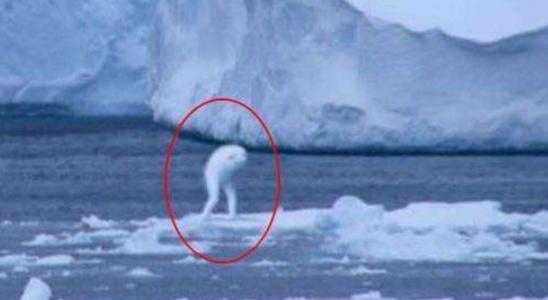  南极8大未解之谜之神秘的“南极人造人”