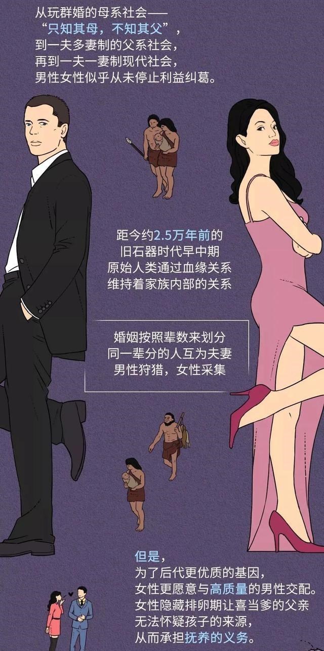 霍金 动物“发情期”只在春天，为何人类却全年无休？一组漫画「揭秘」