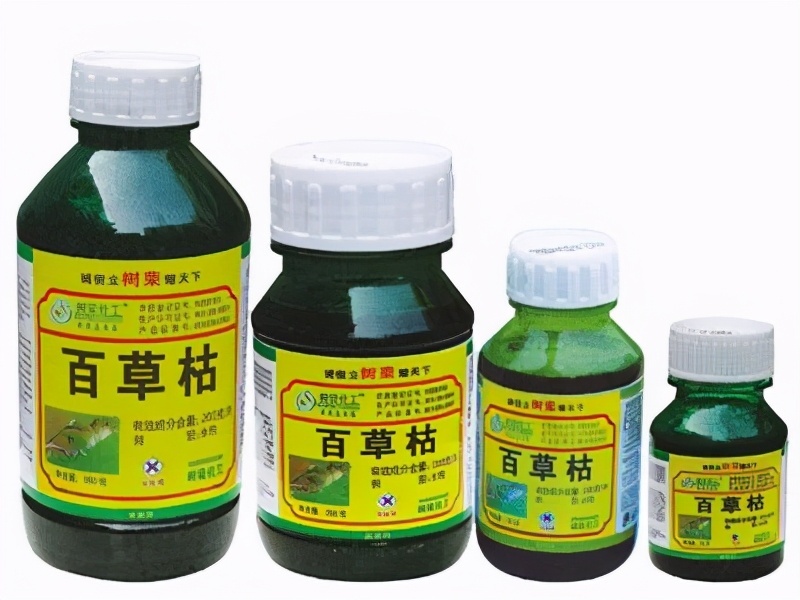 百草枯 13岁女孩喝下百草枯 病情突然恶化 百草枯禁售 为何还能买到呢？