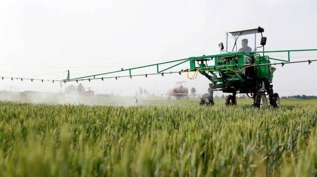 梵恩诗伊宁哥|一句“专业化”就能破解种地难题？政策下，农民不种地或赚更多