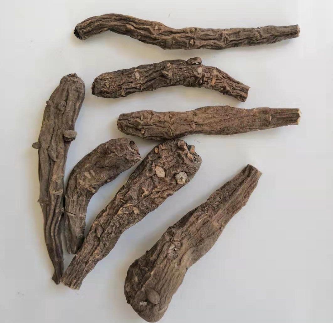 枸杞|身边的中草药——28味毒性中药