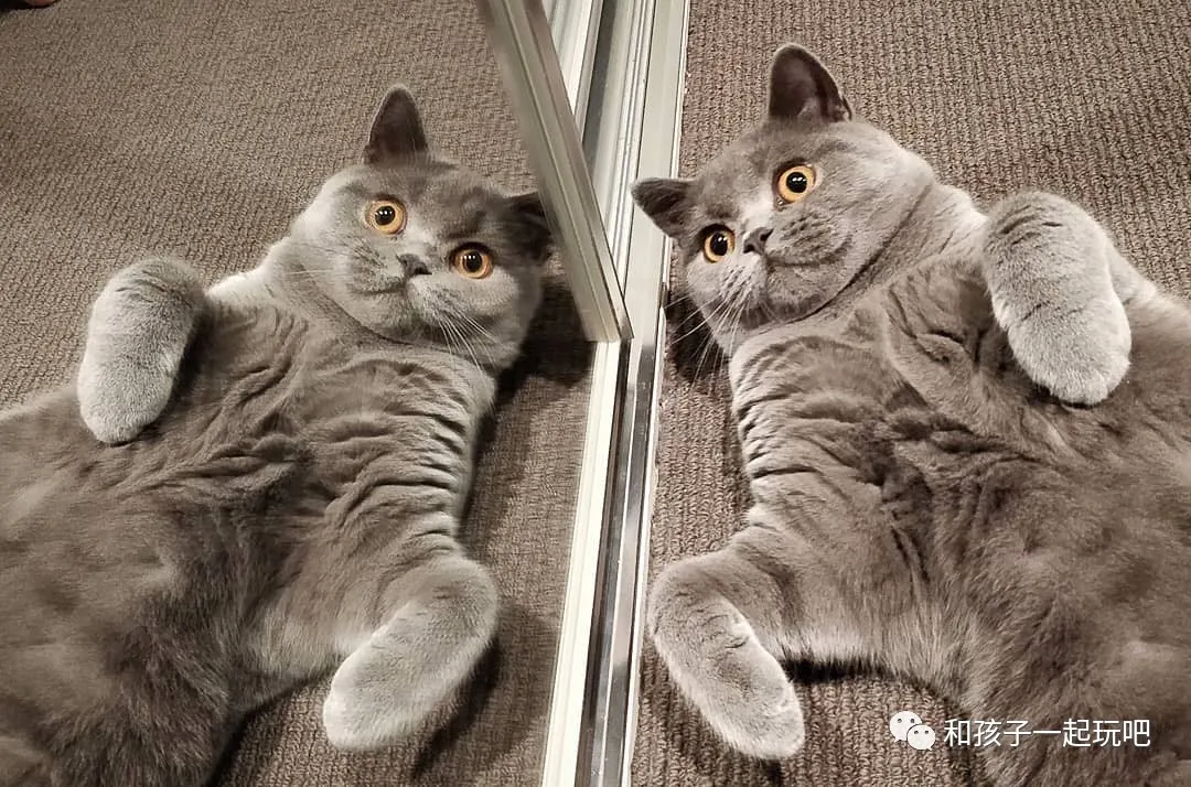 婴幼儿常识|国药育儿知识:b d不分 3 6 反着写,小学生镜像字的三个疑问!